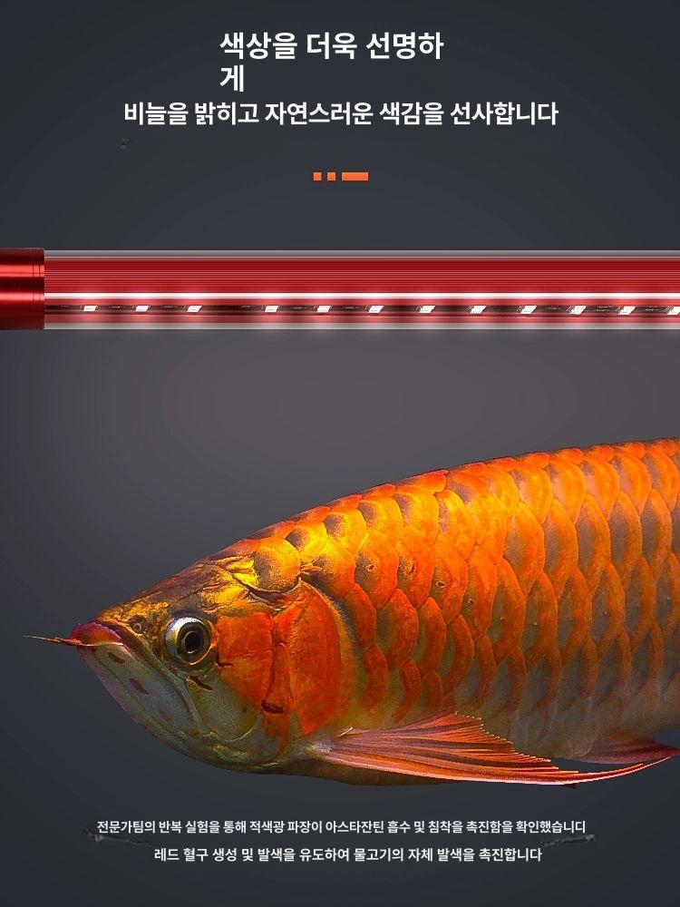 led 램프 조명 수족관 어항등 브래킷 라이트 탱크 수중등 클립 타이머 스팟 빛 - 상세 이미지 4