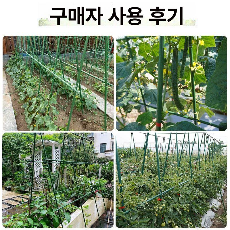 대형 넝쿨지지대 철제 원예 고정 텃밭 넝쿨식물 포도 파이프 가드닝 능소화 아치 야외 - 상세 이미지 4