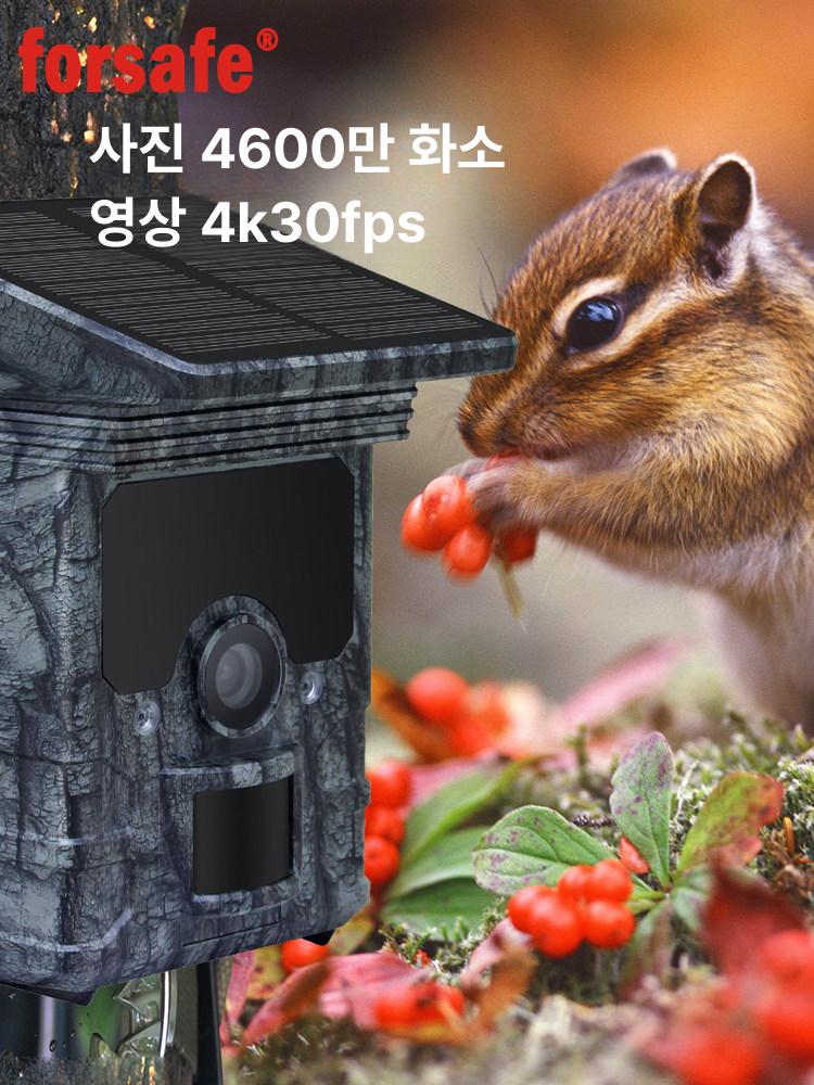 야외 야생동물 카메라 무인 관찰 CCTV 감시 와이파이 무선 연결 태양광충전 - 상세 이미지 3