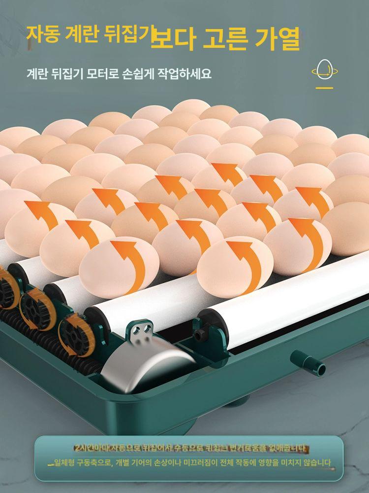 부화기 달걀 알 자동부화기 계란 거위 병아리 가정용 인큐베이터 - 상세 이미지 4