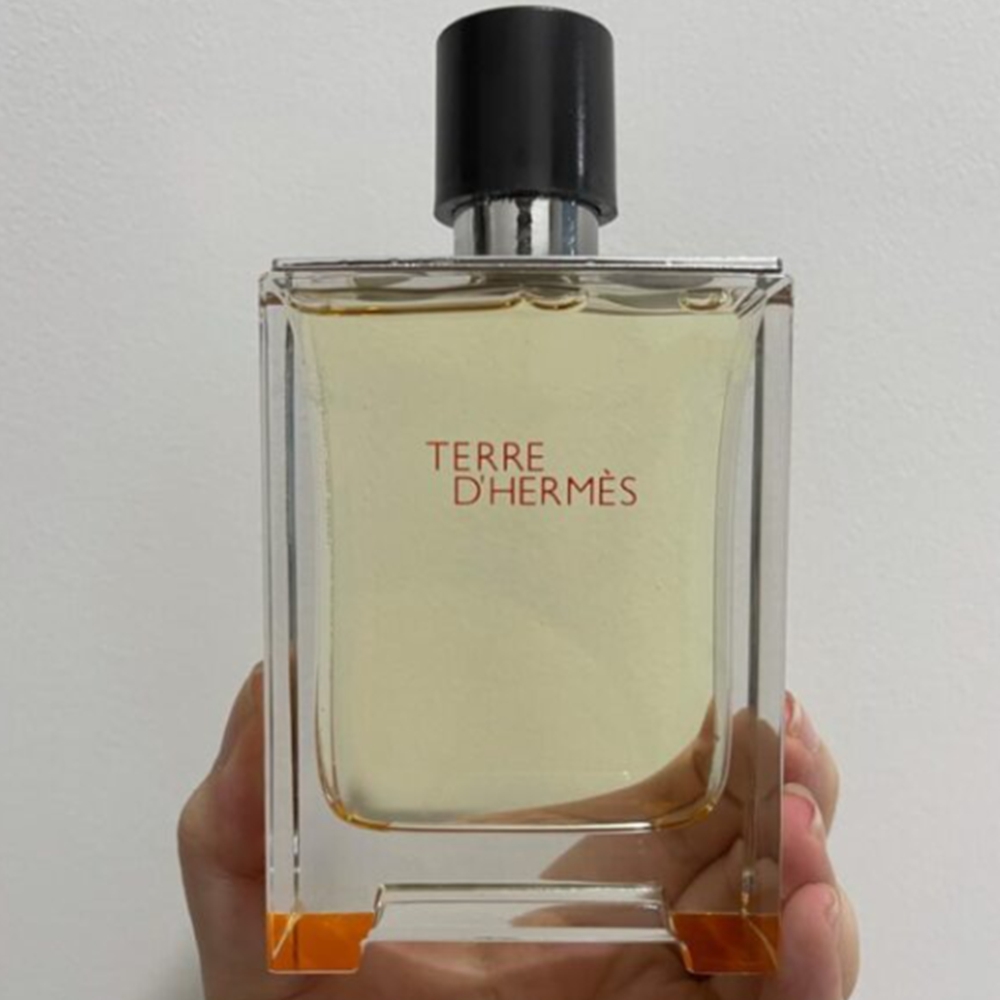 에르메스 남자향수 떼르 데르메스 오 드 뚜왈렛 100ml, 1개 - 상품 이미지
