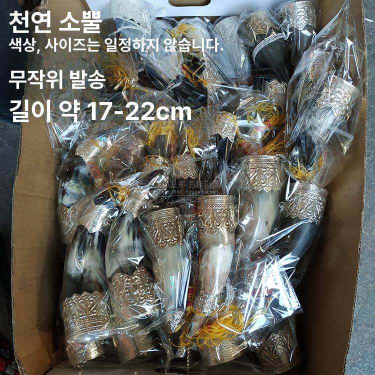 뿔피리 양각나팔 악기 입문 뿔나팔 뱃고동 나팔 레이스 - 상세 이미지 2