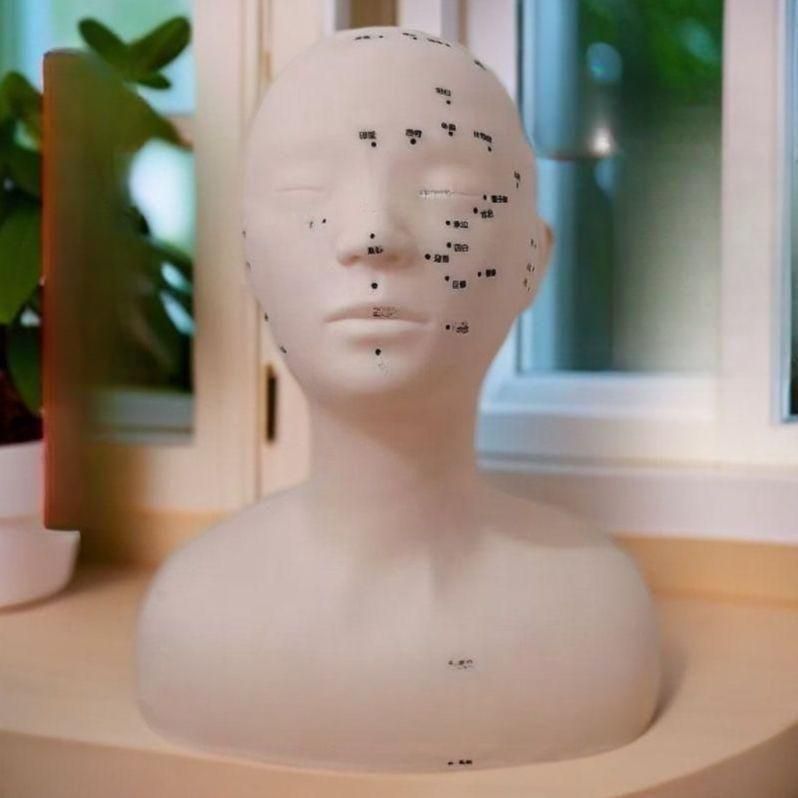 경락마사지 연습 마네킹 피부관리 상반신 머리 실습용 각인 경락 모형 경혈 - 상품 이미지