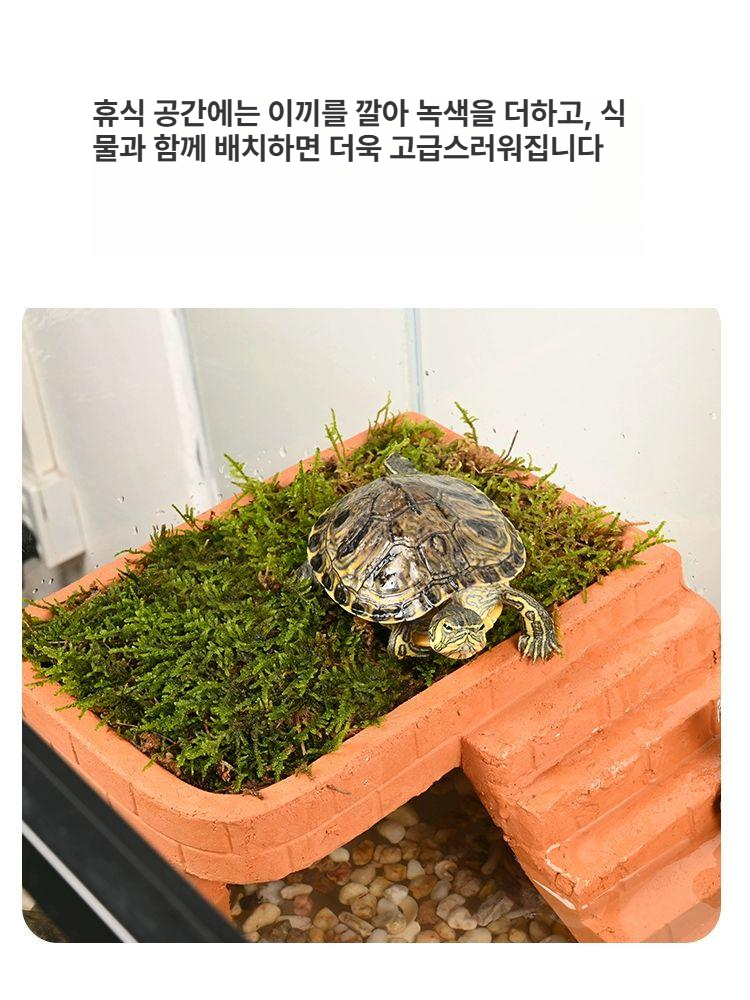 거북이 집 은신처 사다리 어항 이끼 잔디 쉼터 놀이터 사육장 테라스 - 상세 이미지 4