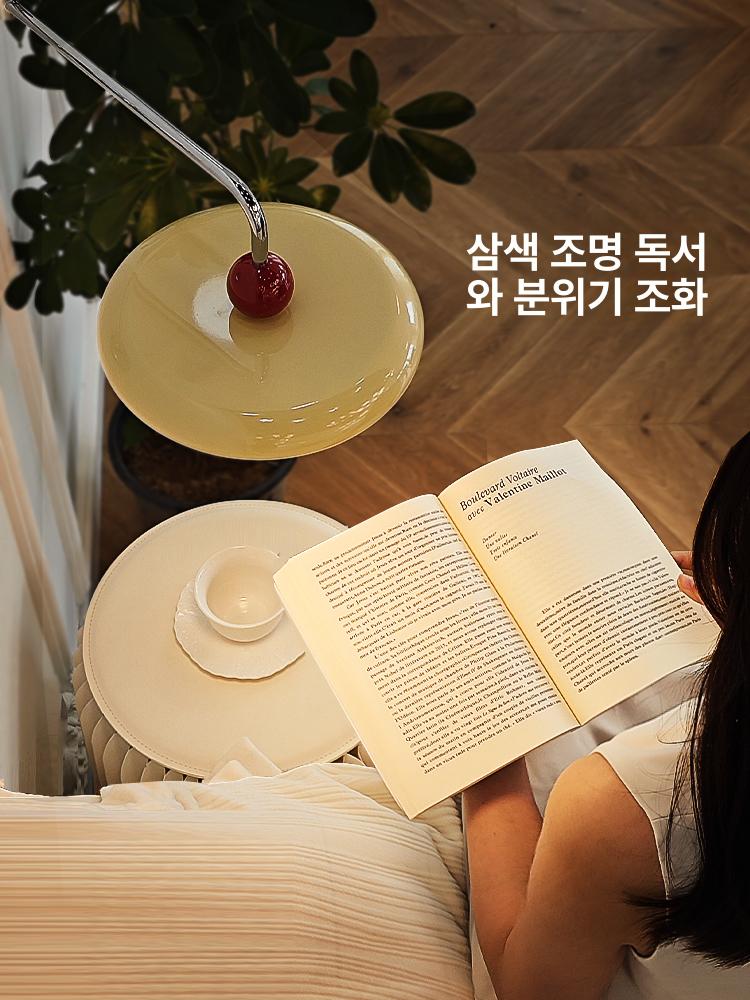 북유럽 침실관절조명 빈티지 거실 벽등 모던 독서등 월램프 인더스트리얼 레트로 - 상세 이미지 3