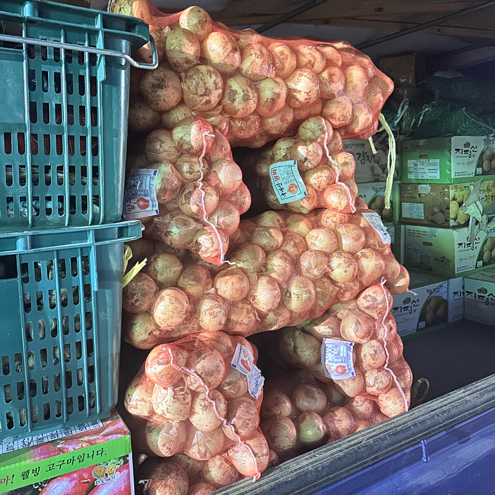 26년 무안 햇양파 국내산 신선한 가정용 3kg 5kg 8kg - 상세 이미지 2