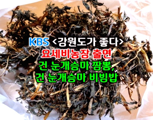 25년 강원도 인제 눈개승마 삼나물 산나물 건눈개승마 건나물