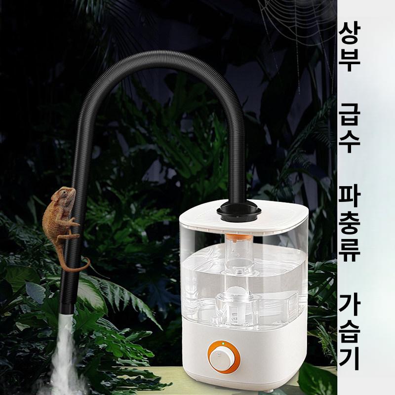 테라리움 가습기 파충류 도마뱀 양서류 우림 열대식물 - 상세 이미지 2