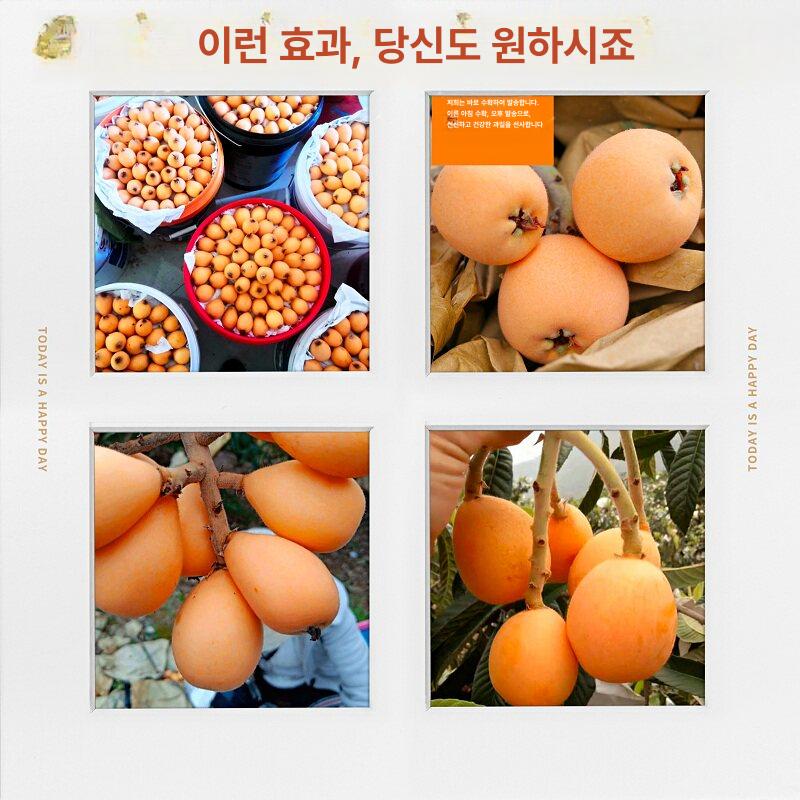 메쉬 봉지 방수 이중 메시 봉투 과일싸개 방충 과수 그물 사과 - 상세 이미지 2