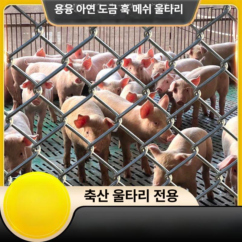 스텐 철망울타리 안전망 철조망 휀스 메쉬 능형 가축 그물 아연 두께 축사 사육장 - 상세 이미지 4