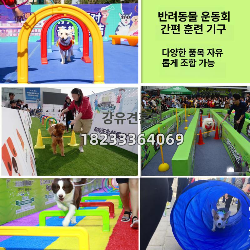 애견 강아지허들 장난감 장비 도그어질리티 훈련용품 교육 막대 통 배럴 원형 기구 - 상세 이미지 5