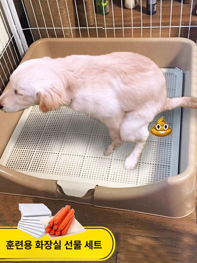 강아지 배변판 소형 애견화장실 소변판 훈련패드 인조잔디 배변매트 토일렛 실내 - 상세 이미지 2