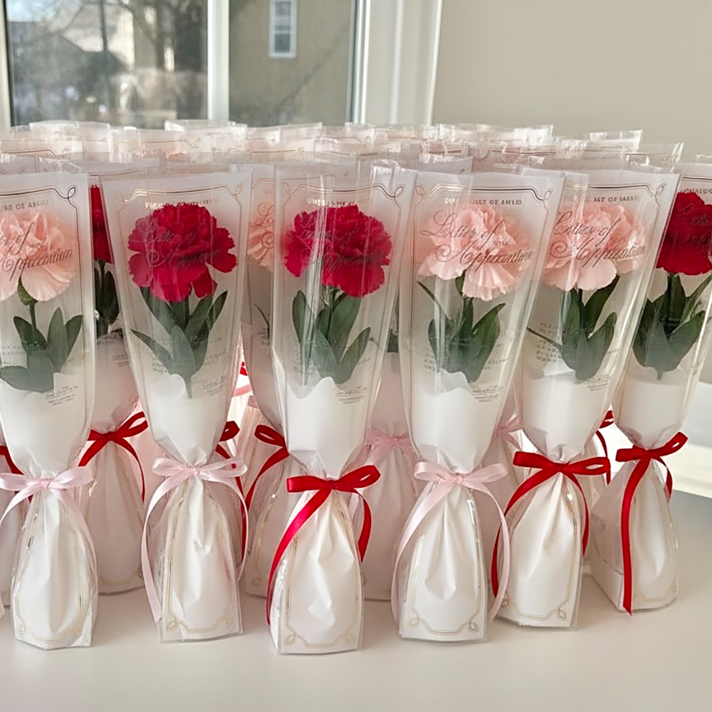 조화 한송이 빅 카네이션 감사장 꽃다발 어버이날 스승의날 단체 선물 - 상세 이미지 2