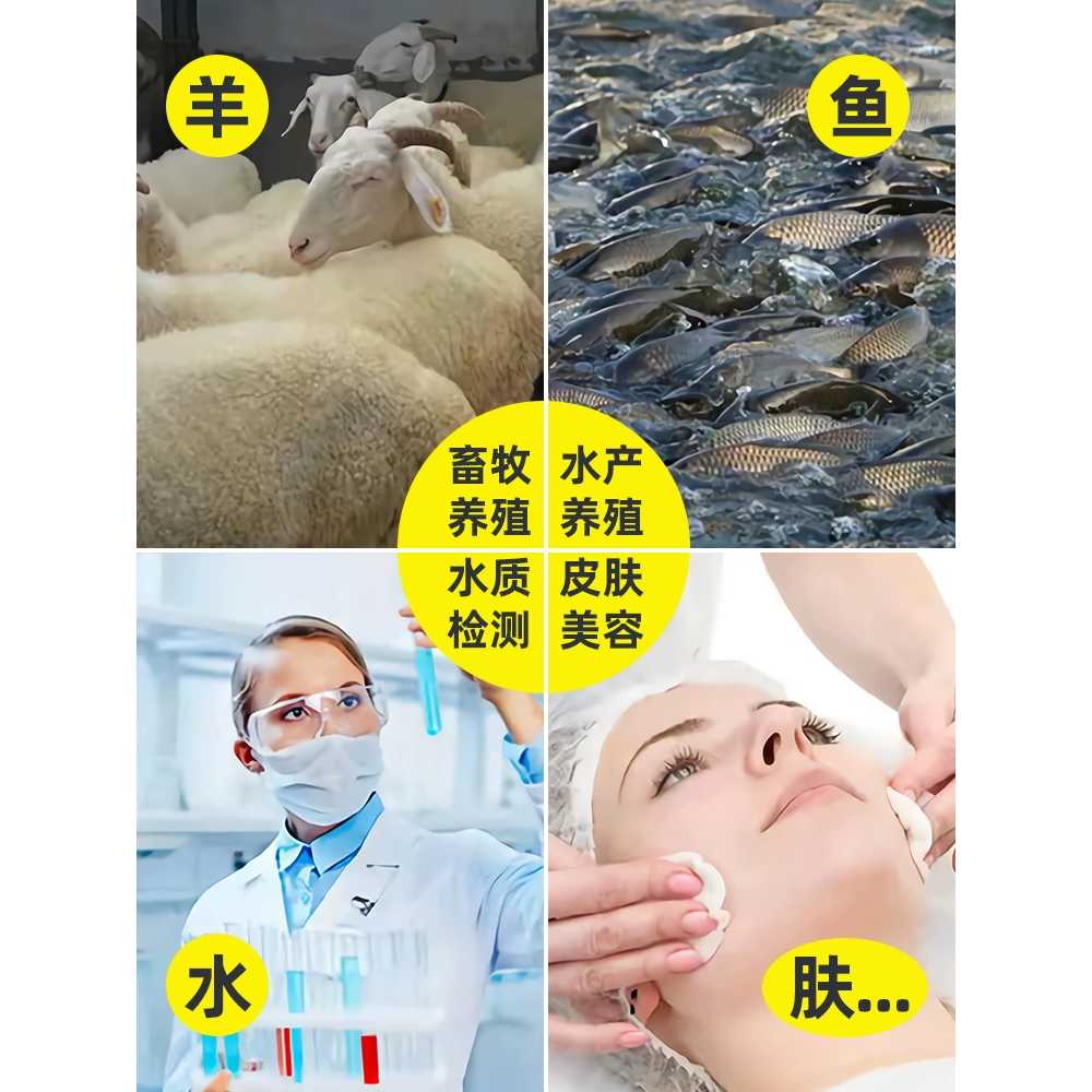 광학 현미경 진드기 실체 감지 용 빈대 스탠드 혈액 단안 - 상세 이미지 4