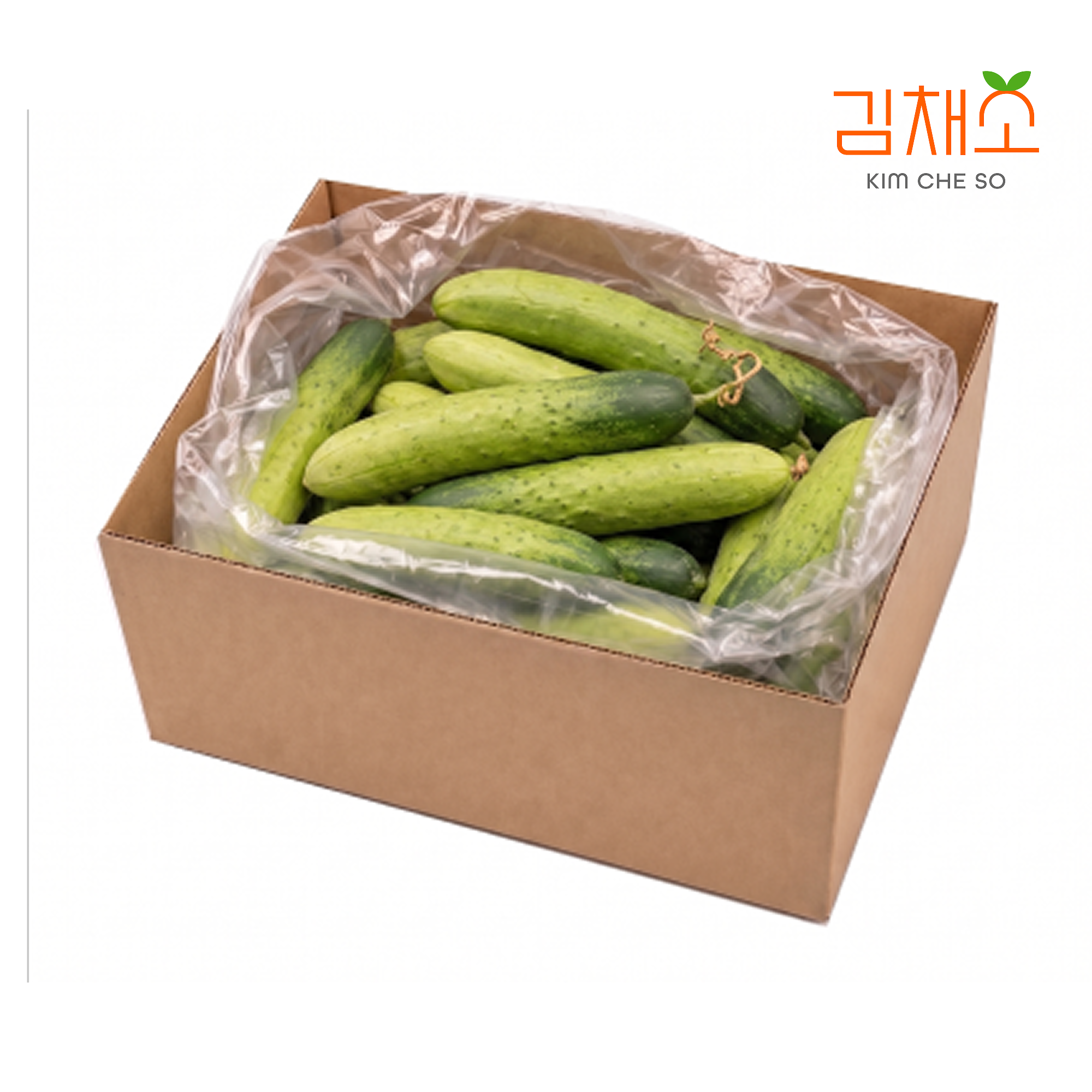 김채소 산지직송 국내산 백다다기 백 오이 특, 10kg, 1개 - 상품 이미지