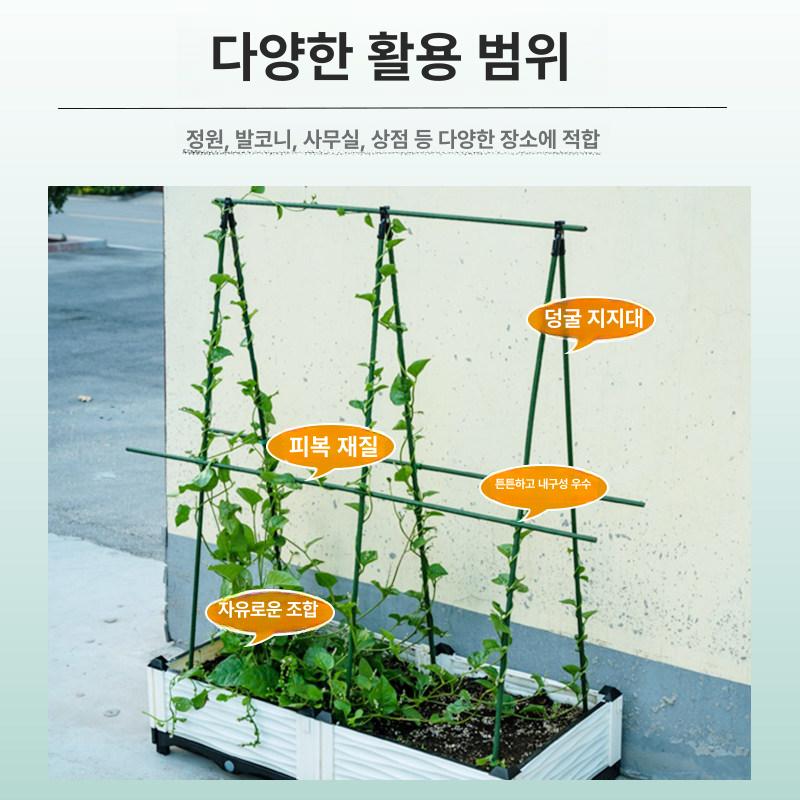 고추대 고추지지대 두께 직경 길이 말뚝 원예 식물지지대 고추지주대 파이프지지대 - 상세 이미지 5