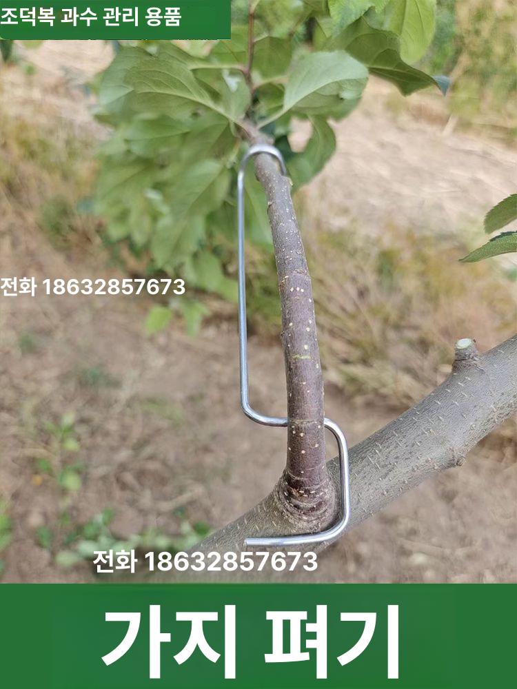 사과나무 고정 고정기 가지유인기 부품 유인추 지지대 과수자재 - 상세 이미지 4