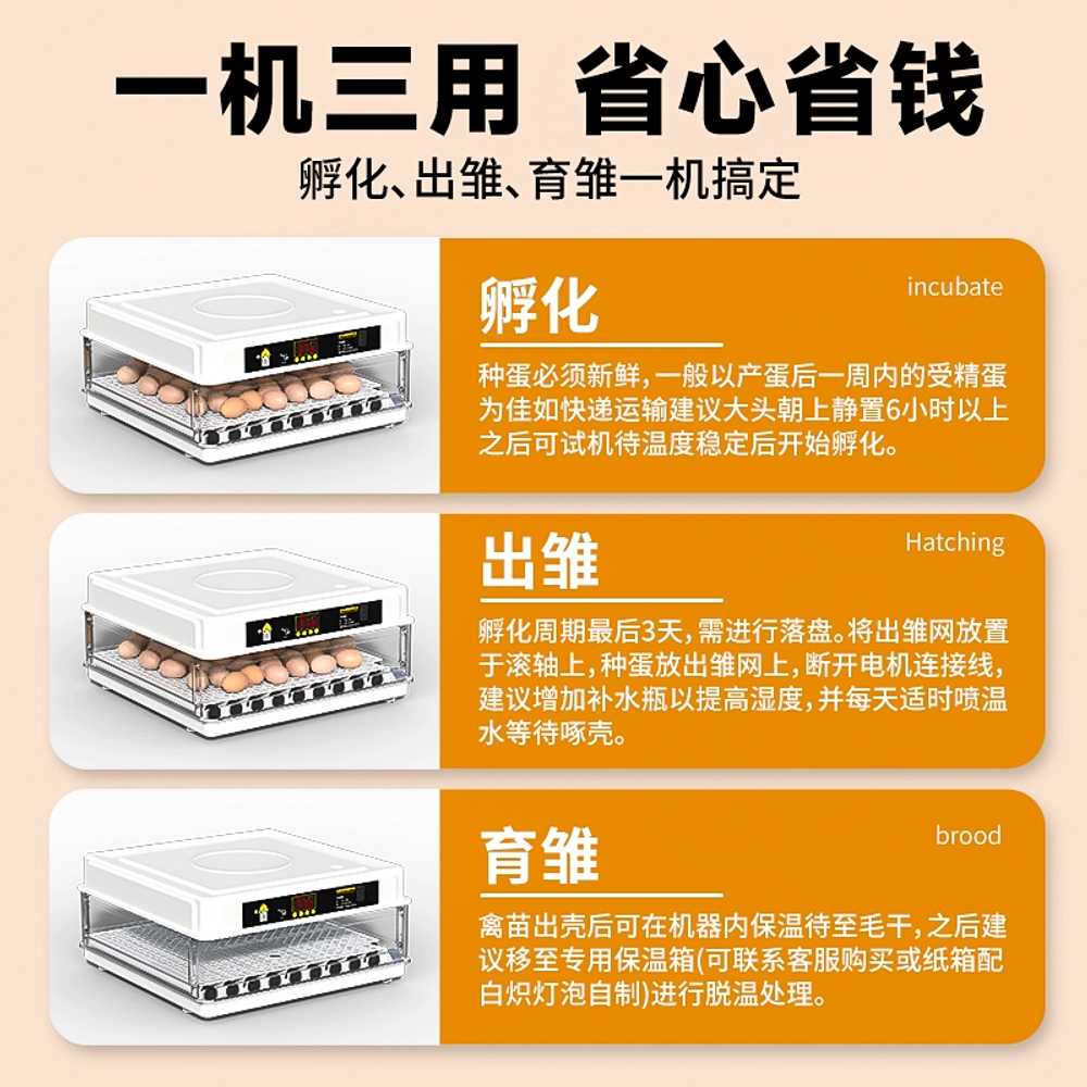 조류 부화기 꿩 메추리 닭 용 병아리 거위 알 키우기 이미지 6