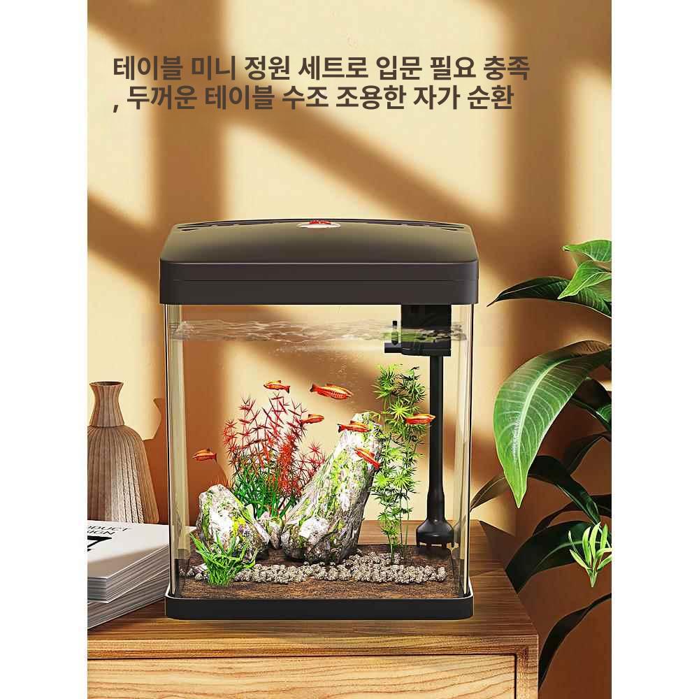 투명 어항 사각 미니 아크릴 탱크 구피 베타 물고기 물멍 인테리어 사이즈 - 상세 이미지 3