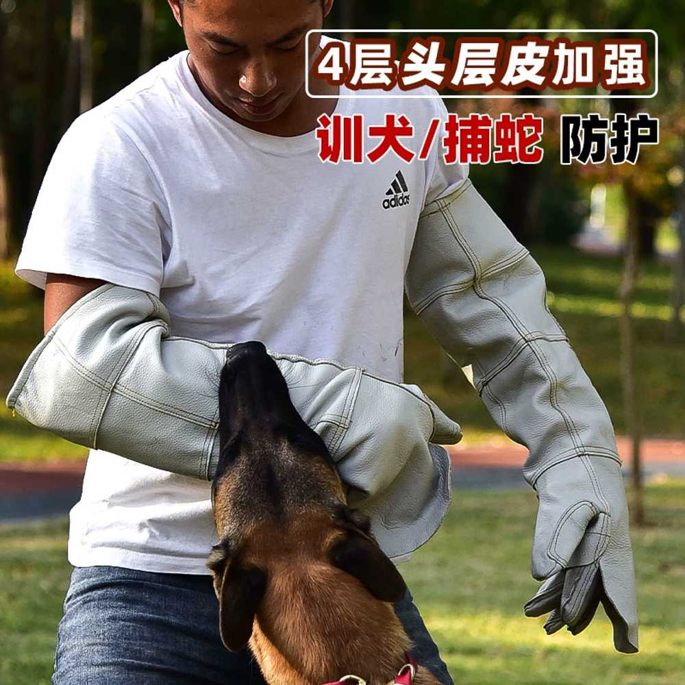 동물구조 손보호장갑입질 고양이 물림 할큄 용 훈련 방지 - 상세 이미지 2