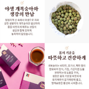 천수인 야생 개복숭아발효 생강 도라지농축액 간지럽고 칼칼할때 목 관리 건... 맛있게 먹은 솔직 후기 - 상품 이미지 3