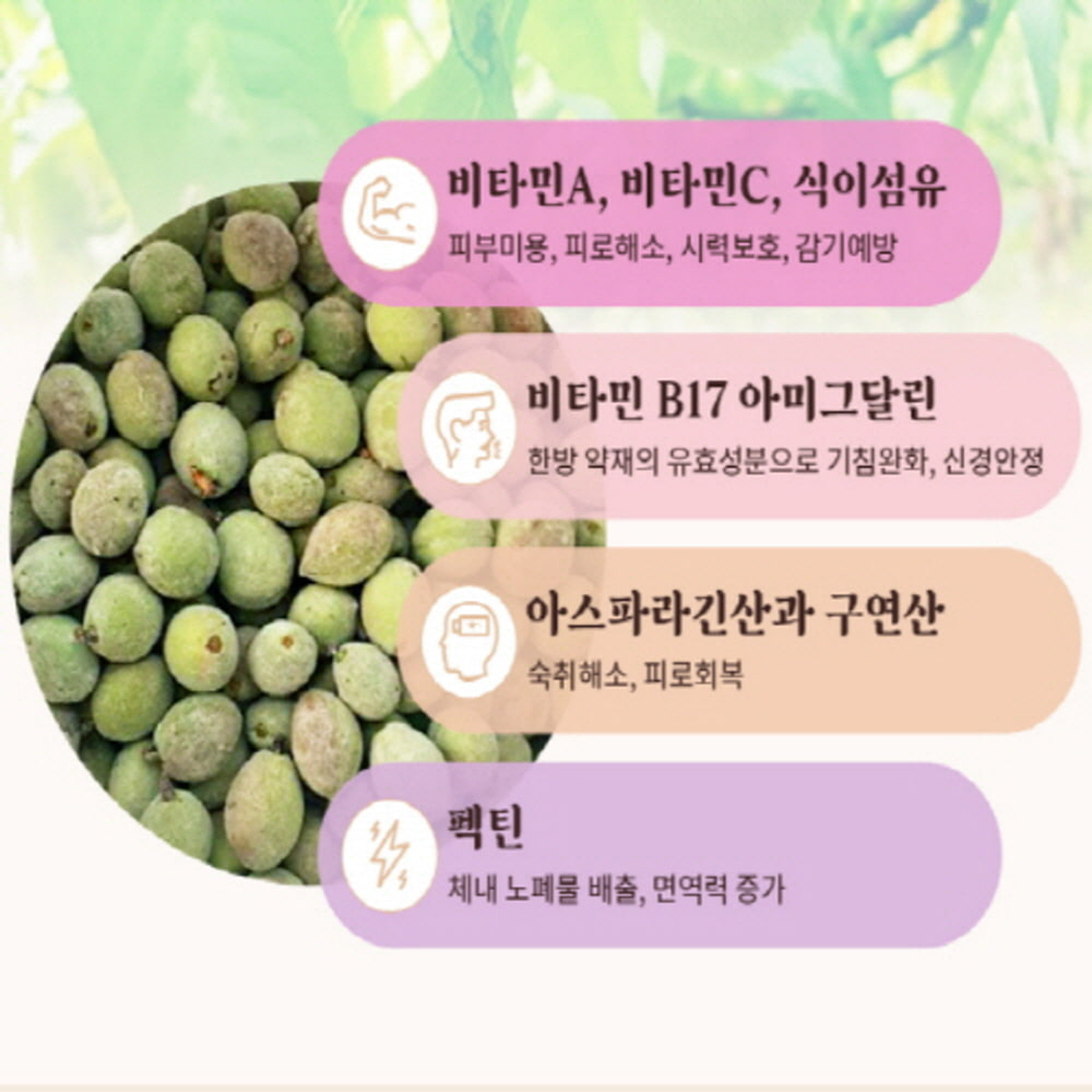 천수인 야생 개복숭아발효 생강 도라지농축액 간지럽고 칼칼할때 목 관리 건강스틱 50포 - 상세 이미지 2