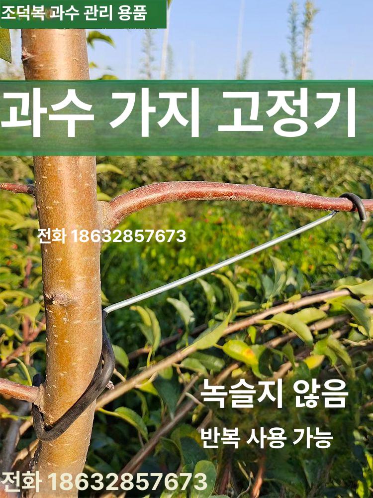 사과나무 고정 고정기 가지유인기 부품 유인추 지지대 과수자재 - 상세 이미지 2
