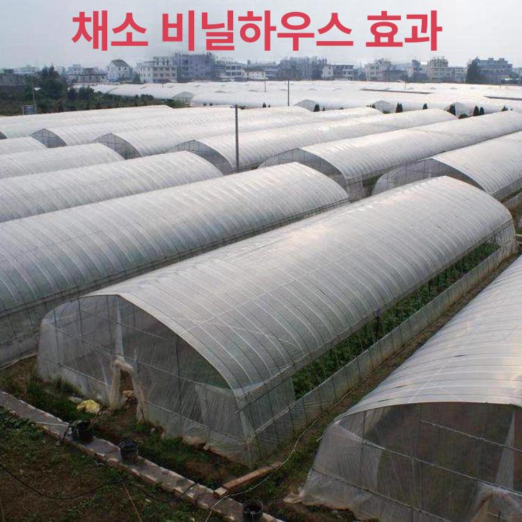 농사용그물망 울타리 과수원 방조망 사육 철조망 - 상세 이미지 4