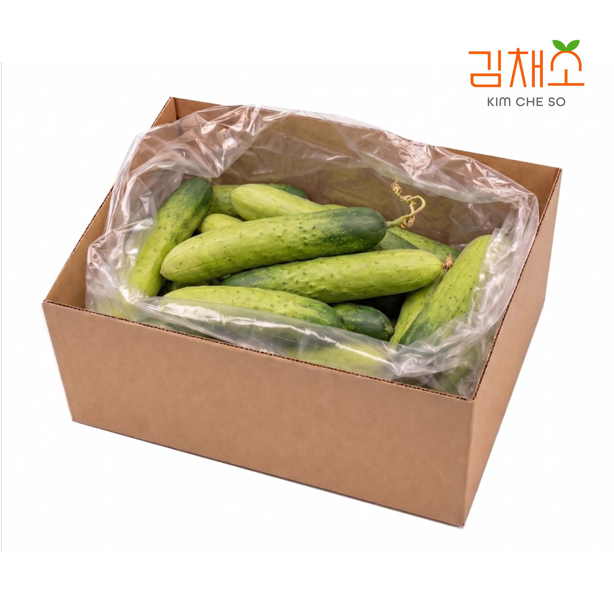 김채소 산지직송 국내산 백다다기 백 오이 특, 5kg, 1개 - 상품 이미지
