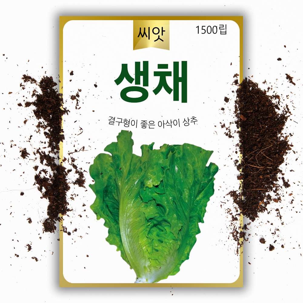 아삭이 상추 생채 씨앗 1400립 쌈채소 상추 씨 종자 - 상품 이미지