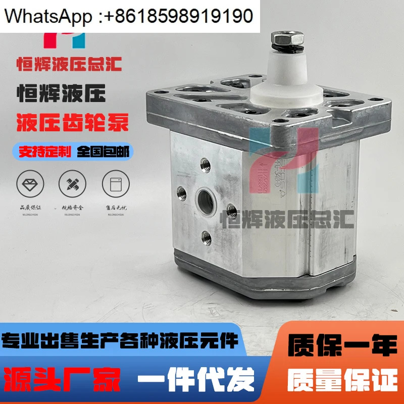 유압 펌프 ATOS 기어 PFG-340-D PFG-327-D-RO PFG-210-DR0 오일