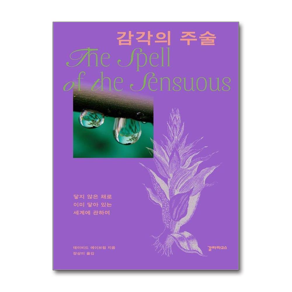 감각의 주술 - 닿지 않은 채로 이미 닿아 있는 세계에 관하여 이미지