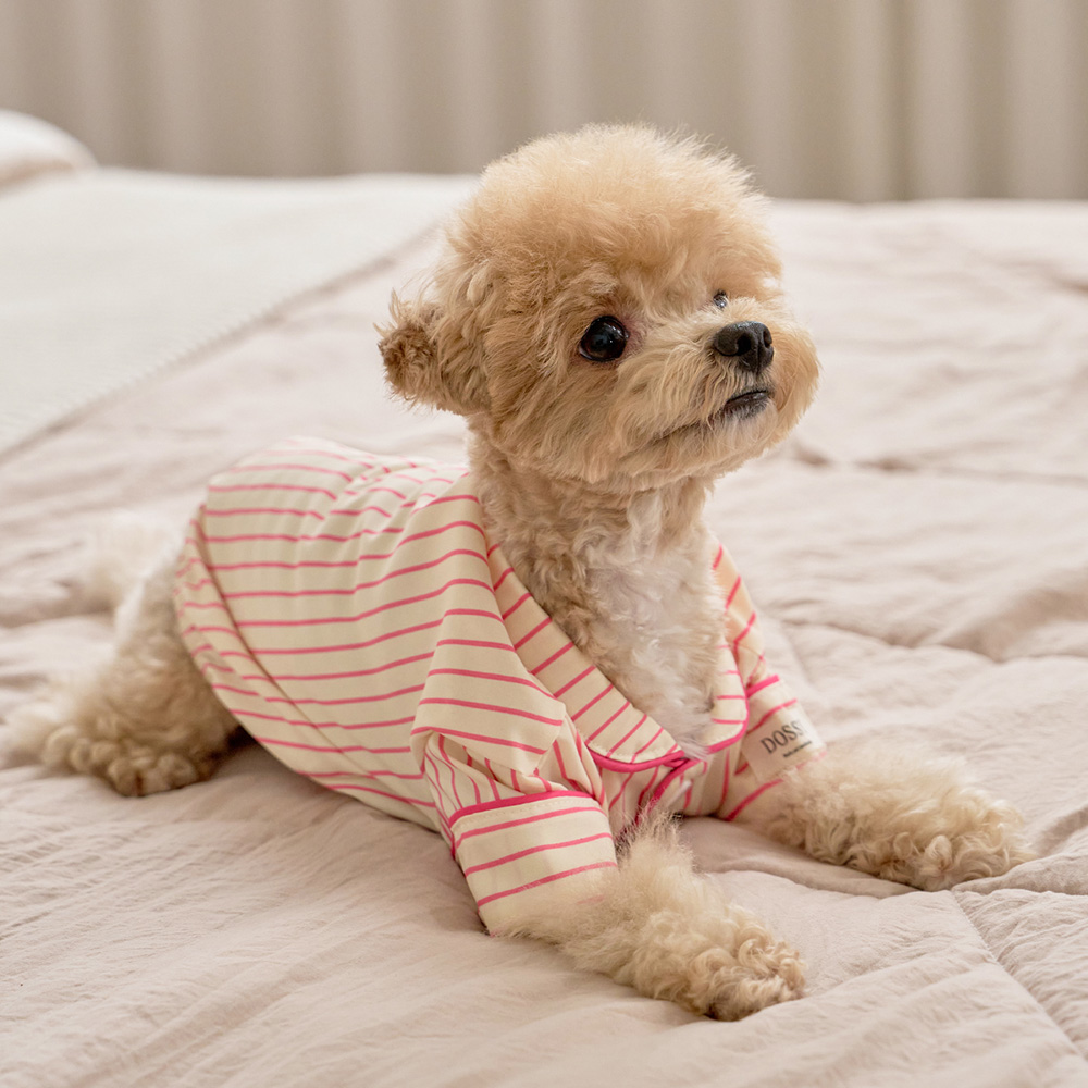 실크핏 러브썸 펫 잠옷 반려동물 강아지 고양이 파자마 상품 이미지