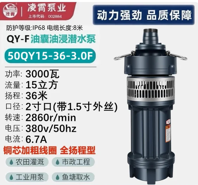오일 블래더 잠수 펌프 50QY15-26-2.2F 50QY15-36-3F 50QY12.5-46-4F 65QY25-17-2.2F 65QY25-26-3F 65QY25-32-4F
