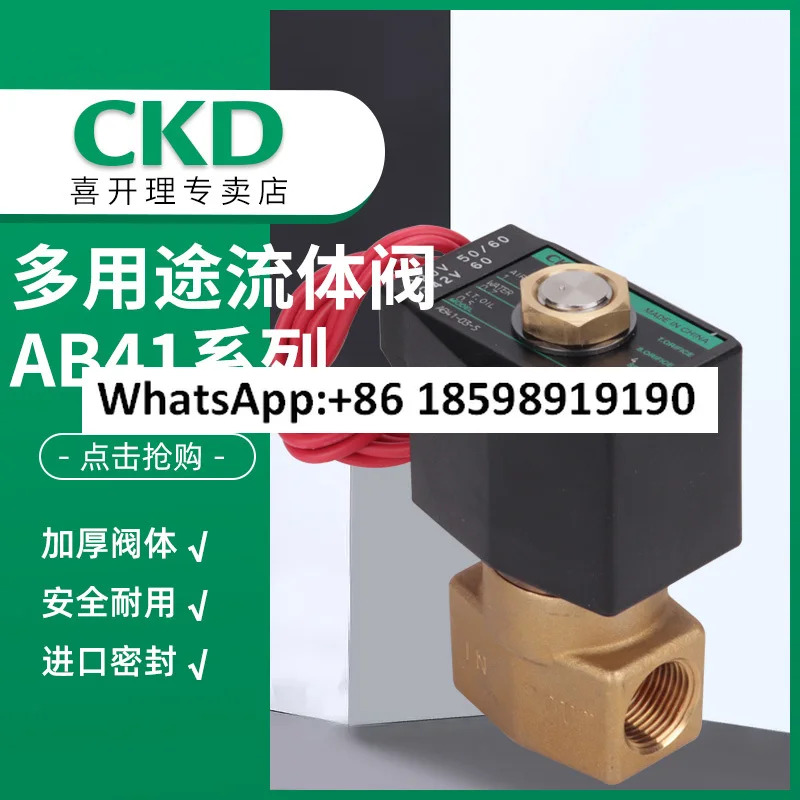솔레노이드 밸브 AB41-02-03-/2/3/4/5/6/7 -02E/03A/E2E/F2E-AC220VDC24V