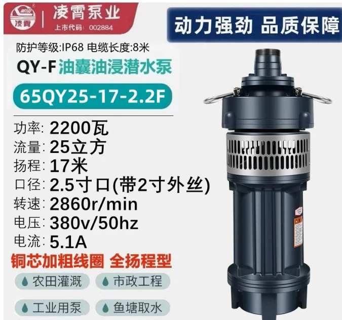 오일 블래더 잠수 펌프 50QY15-26-2.2F 50QY15-36-3F 50QY12.5-46-4F 65QY25-17-2.2F 65QY25-26-3F 65QY25-32-4F