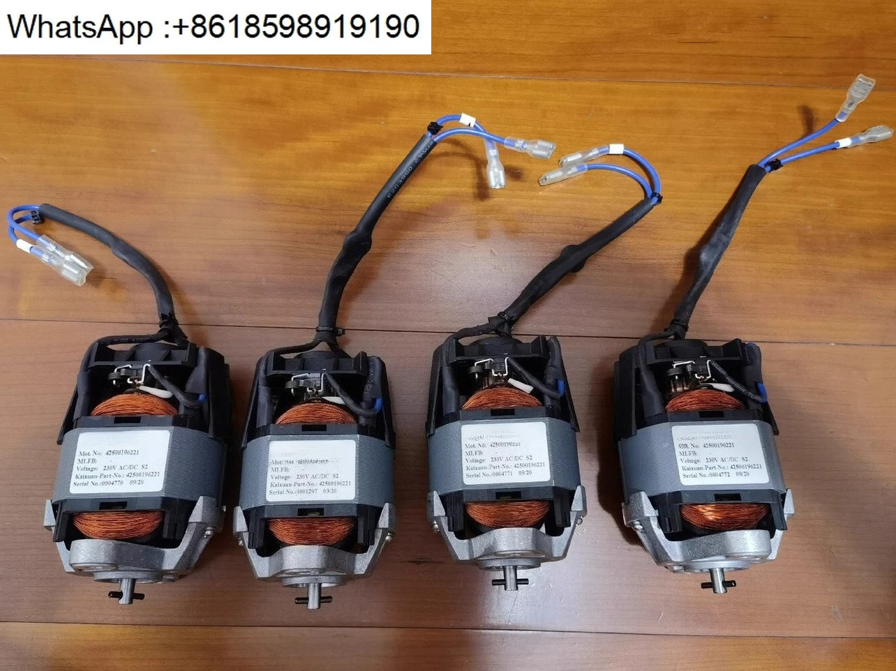 에너지 저장 모터 42500196221 230V AC/DC S2