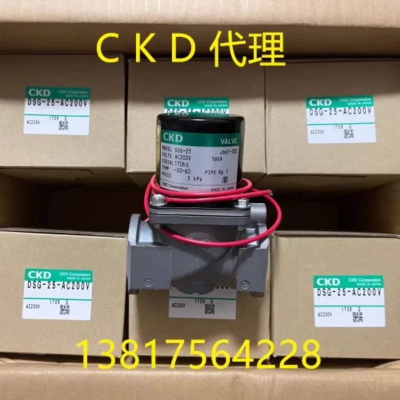전자기 밸브 DSG-15-AC200V DSG-20-AC200V DSG-25-AC200V