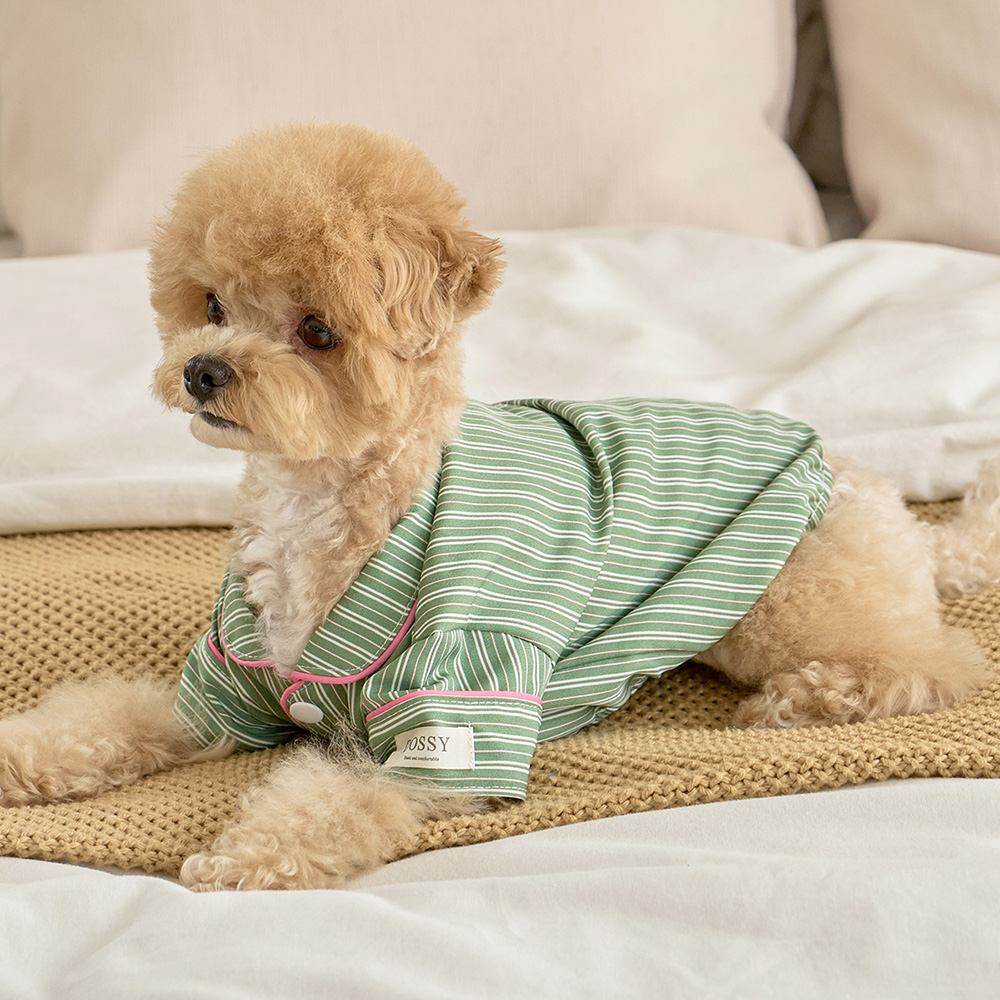실크핏 웬즈데이 펫 잠옷 반려동물 강아지 고양이 파자마 상품 이미지