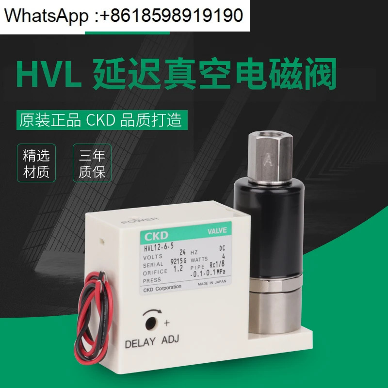 고진공 지연 밸브 HVL12-6-5-DC24V 포장