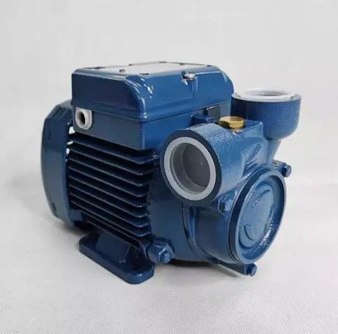 PEDROLLO 워터 펌프 PQM81-BS pksm60 PKS65 PVm55 PV55 CP220C PKS60 PQM100