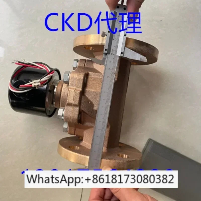 증기 솔레노이드 밸브 APK21-32A-50A-C4A APK21-32F-40F-50F-50F-C4A-AC220V