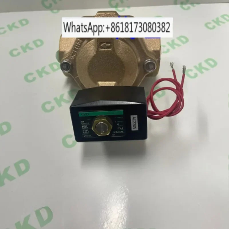 전자기 밸브 AP21-32A-C4A-C2C-AP21-40A-C4A-AC220V AP21-50A-C4A-