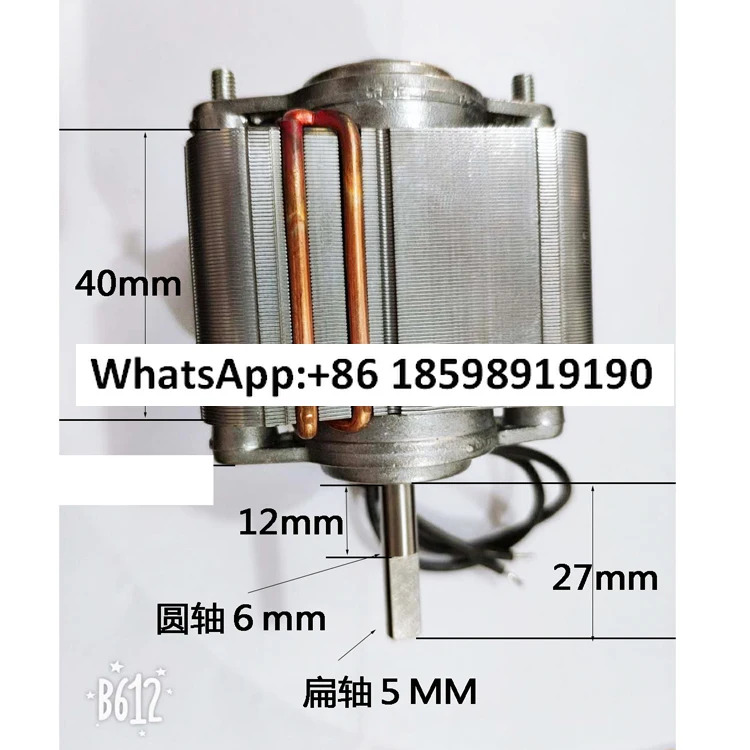 YM300G TL6040D 섀도우 폴 모터 리버 오일 펌프 220V110V