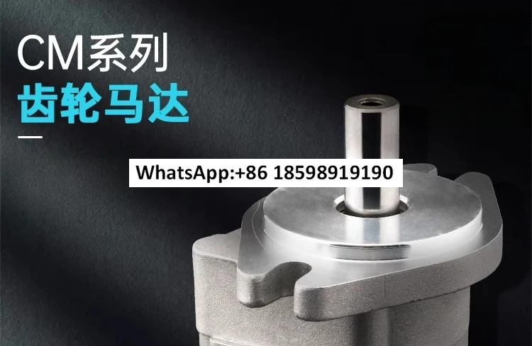 CMF-F3/5 시리즈 고압 기어 오일 모터