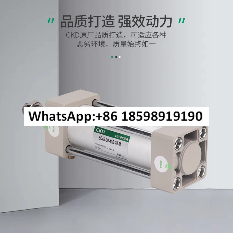 표준 실린더 SCA2-CB-80B-100Y/포장 2차