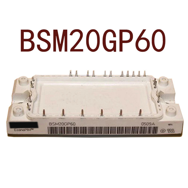 오리지널 BSM20GP60 현장