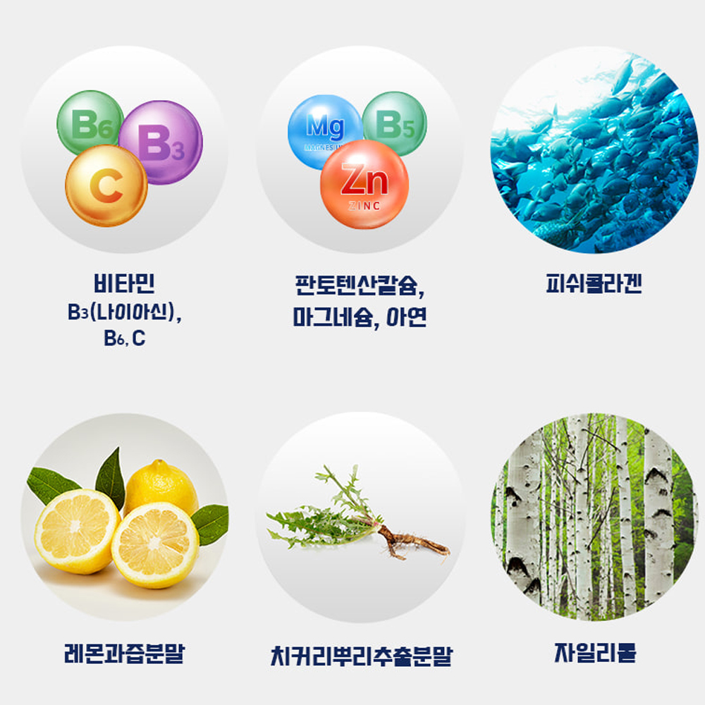 낙산균 프로바이오틱스 생 유산균 스틱 공복 장내 유익균 프리바이오틱스 마이크로바이옴 유산균 - 상세 이미지 5