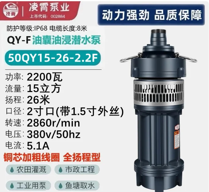 오일 블래더 잠수 펌프 50QY15-26-2.2F 50QY15-36-3F 50QY12.5-46-4F 65QY25-17-2.2F 65QY25-26-3F 65QY25-32-4F