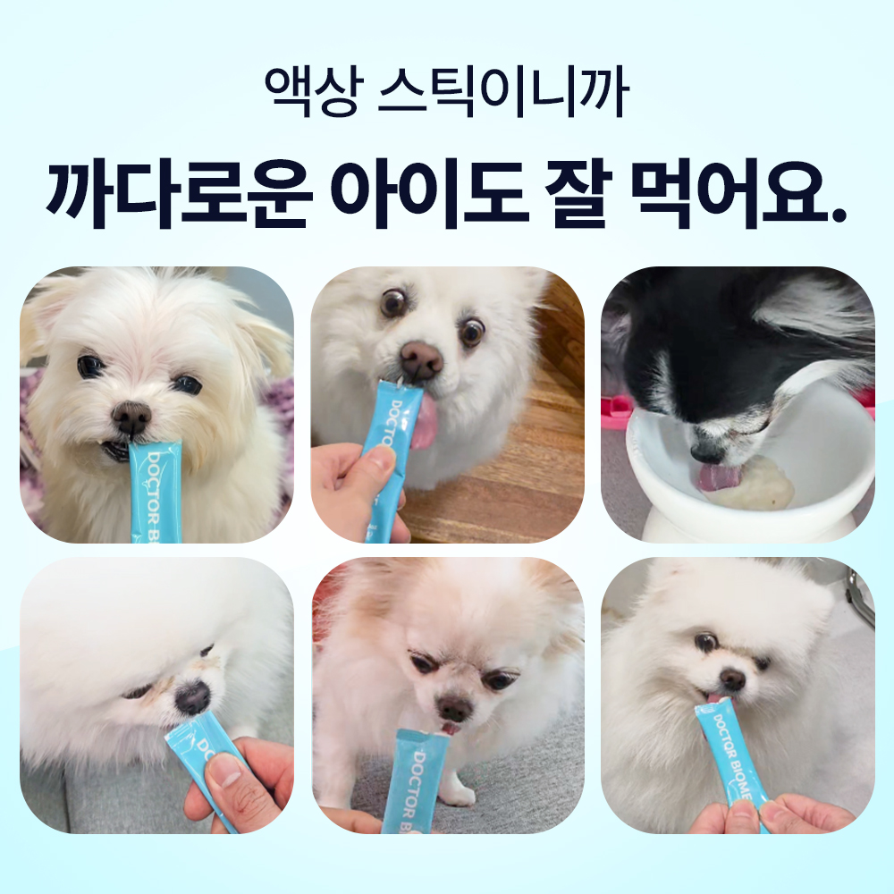 닥터바이 강아지 유산균 프로바이오틱스 장건강 영양제 장환경케어, 30포, 1개 - 상세 이미지 5